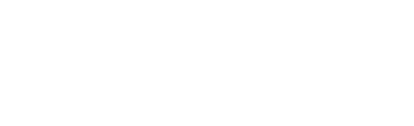 NetVerse